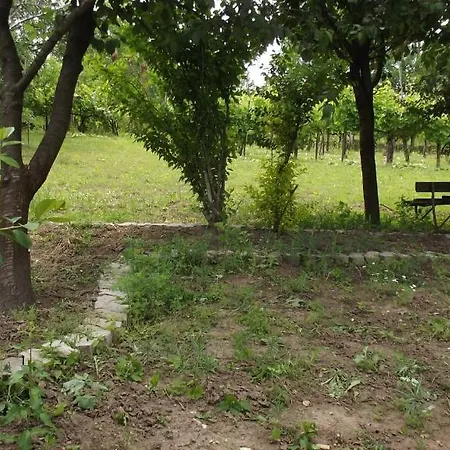 Balassa Weekendhouse Vakantiehuis *